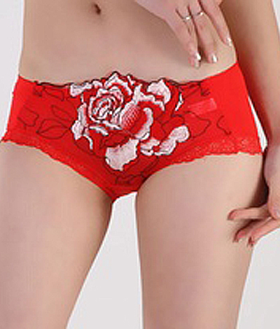 Briefs and Thongs B48014